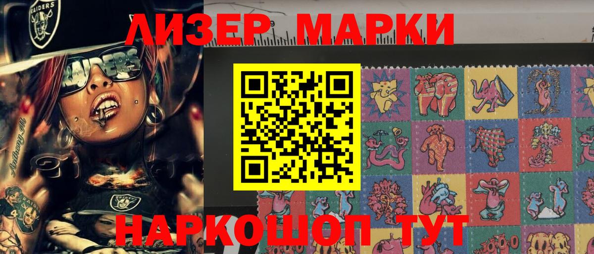 Наркотические марки  Вход с VPN  Марки N-bome 1,5мг  Курчалой  купить наркотики сайты  Марки N-bome 1,5мг 